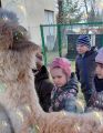 Alpaki - wspaniałe zwierzaki!, Marzena Markowska, Agnieszka Miksztal