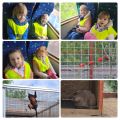 Co się działo w maju w Grupie Pomarańczowej?, Monika Rucińska, Magdalena Nowicka, Anna Gołowicz