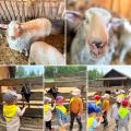 Wesoły maj w Grupie Żółtej, Monika Czeropska, Amanda Mantużyk