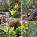 Granatowa przygoda - wrzesień pełen odkryć, 